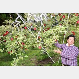一本松観光りんご園の星野さん（Ｃ）日刊ゲンダイ