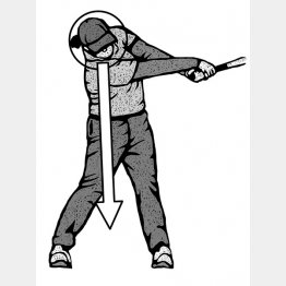 イラスト・ドラゴン2