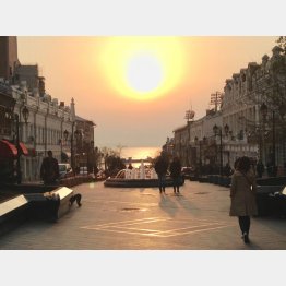 とにかく“映え”（提供）宮本智さん