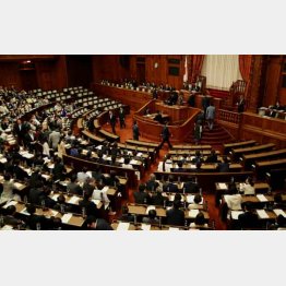 定数６増への批判かわし（Ｃ）日刊ゲンダイ