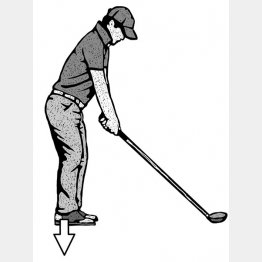 （イラスト・ドラゴン２）