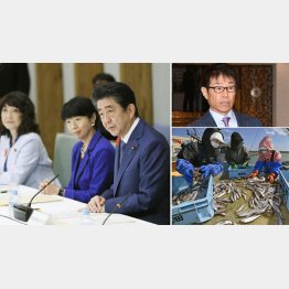 大企業の言いなり（右上は金丸恭文フューチャー会長）／（Ｃ）共同通信社