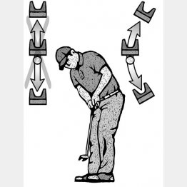 （イラスト・ドラゴン２）