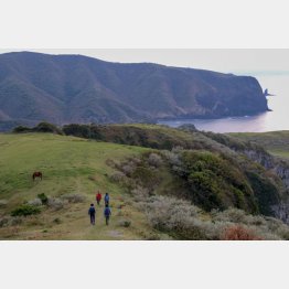 国賀海岸（提供写真）