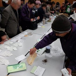 在来種の保存には欠かせない種の交換会（山田正彦氏提供）