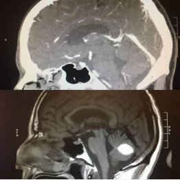 （ポールさんのフェイスブックから）