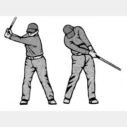 イラスト・ドラゴン２