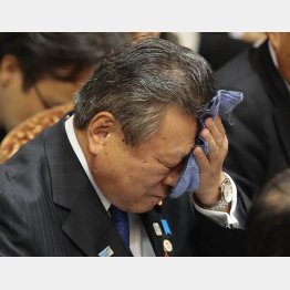 緊張しいな一面も（Ｃ）日刊ゲンダイ