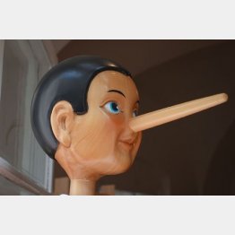 写真はイメージ（Pixabay）