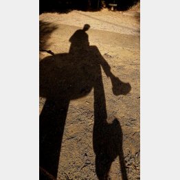 足元を見られている…（Ｃ）日刊ゲンダイ