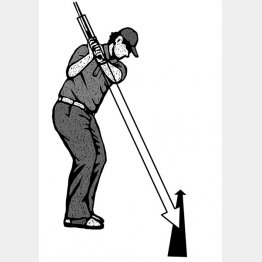 イラスト・ドラゴン２