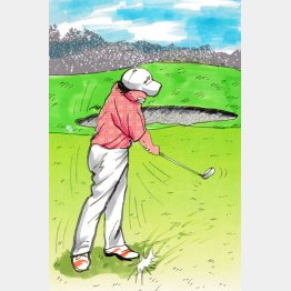 イラスト・たかぎしひろや