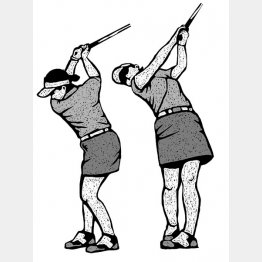 イラスト・ドラゴン２