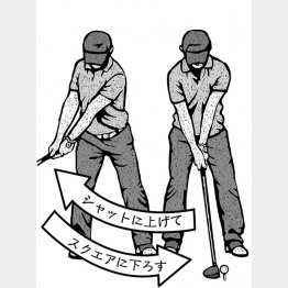 イラスト・ドラゴン２