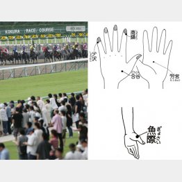 いつでもどこでもできるのがポイント（Ｃ）日刊ゲンダイ