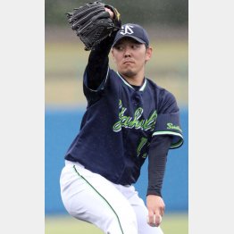 先輩松坂のようになれるか…（Ｃ）日刊ゲンダイ