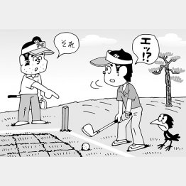 （イラスト・小山混）