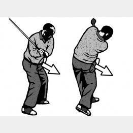 イラスト・ドラゴン２