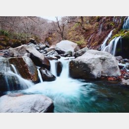 吐竜の滝（Ｃ）日刊ゲンダイ