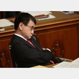 寝ている場合じゃない（河野外相）（Ｃ）日刊ゲンダイ