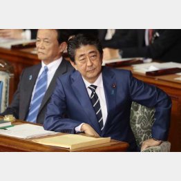 「強引」と「拙速」で有権者は離反（Ｃ）日刊ゲンダイ