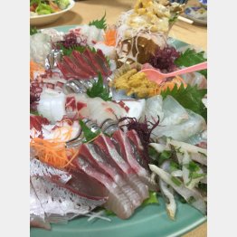 新鮮そのもの（Ｃ）日刊ゲンダイ