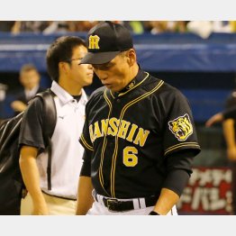 最下位が決定しため息をつきながら引き揚げる金本監督（Ｃ）日刊ゲンダイ