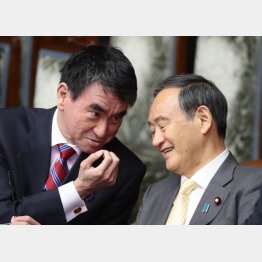 国益を損なうばかり（Ｃ）日刊ゲンダイ