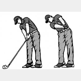 イラスト・ドラゴン2