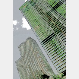 “ゴーストタウン”化してはたまらない（Ｃ）日刊ゲンダイ