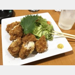 チェーン居酒屋より断然ウマかった（「鈴竹」の豚肉チーズ揚げ）／（Ｃ）日刊ゲンダイ