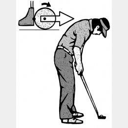 イラスト・ドラゴン２