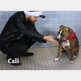 （米ケーブルテレビ局ＴＢＳのユーチューブから）