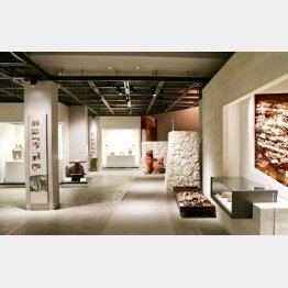 壺屋焼物博物館（提供写真）