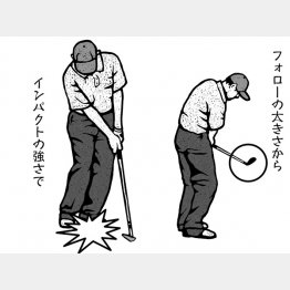 イラスト・ドラゴン２（Ｃ）日刊ゲンダイ