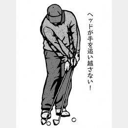 （イラスト・ドラゴン２）