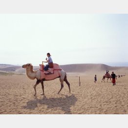 広大な砂丘に欧米人はビックリ（鳥取県提供）