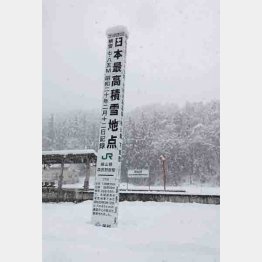 ピークはこんなもんじゃない（Ｃ）日刊ゲンダイ