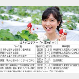 はとバスの日帰り七福神めぐりツアー（Ｃ）日刊ゲンダイ