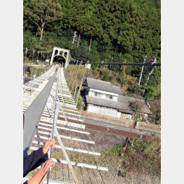 恋金橋（提供写真）
