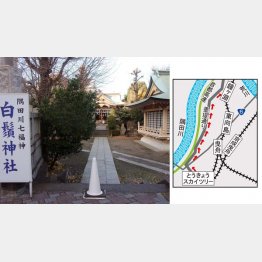 ココまで４０００歩弱（寿老神の白鬚神社）／（提供写真）