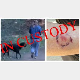 （イーストベイ広域公園警察のフェイスブックより）