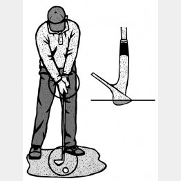 イラスト・ドラゴン2