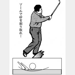 イラスト・ドラゴン2