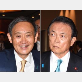 今度は消費税でドンパチ（Ｃ）日刊ゲンダイ