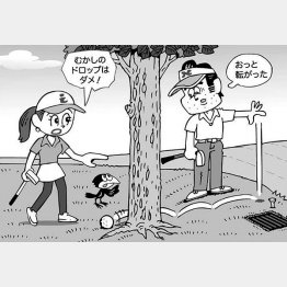 イラスト・小山混