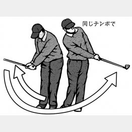 （イラスト・ドラゴン２）