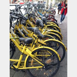 束になって放置されたofoの故障車（Ｃ）日刊ゲンダイ