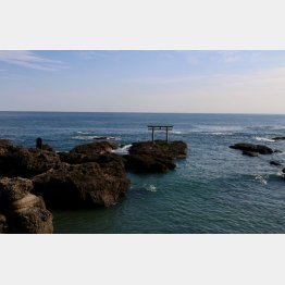 神磯の鳥居（提供写真）