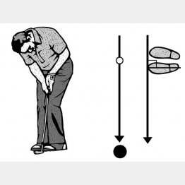 （イラスト・ドラゴン２）